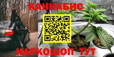 бошки Будённовск
