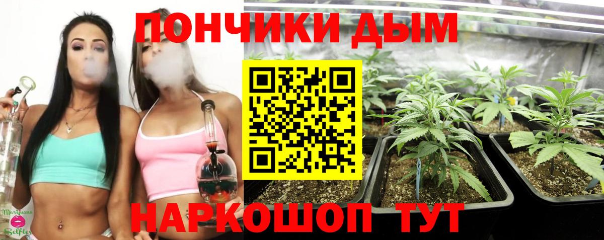 Каннабис сатива  МАРИХУАНА THC 21%  Бошки Шишки ГИДРОПОН  Вход с VPN  Чистополь 
